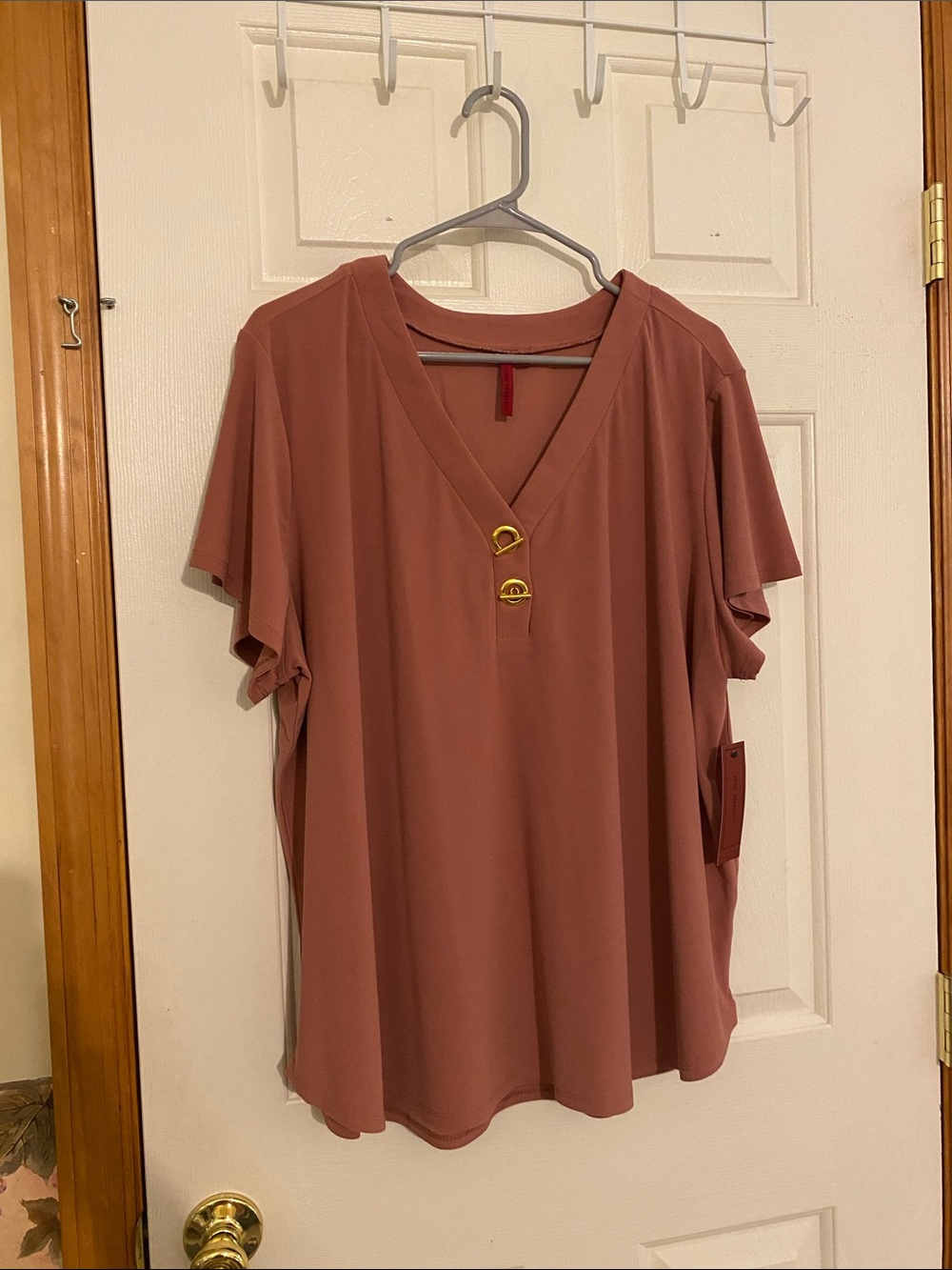Love Scarlet V-Neck Short Sleeve Blouse in Dusty Rose with Gold Accents